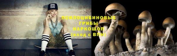 ешки Пролетарск