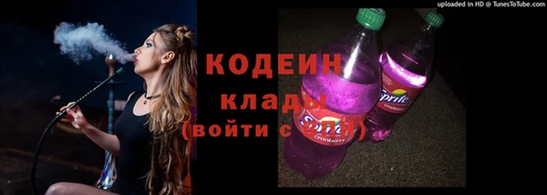 шишки Приозерск