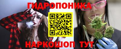 индика Комсомольск-на-Амуре