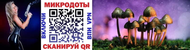 Псилоцибиновые грибы Psilocybe Ирбит