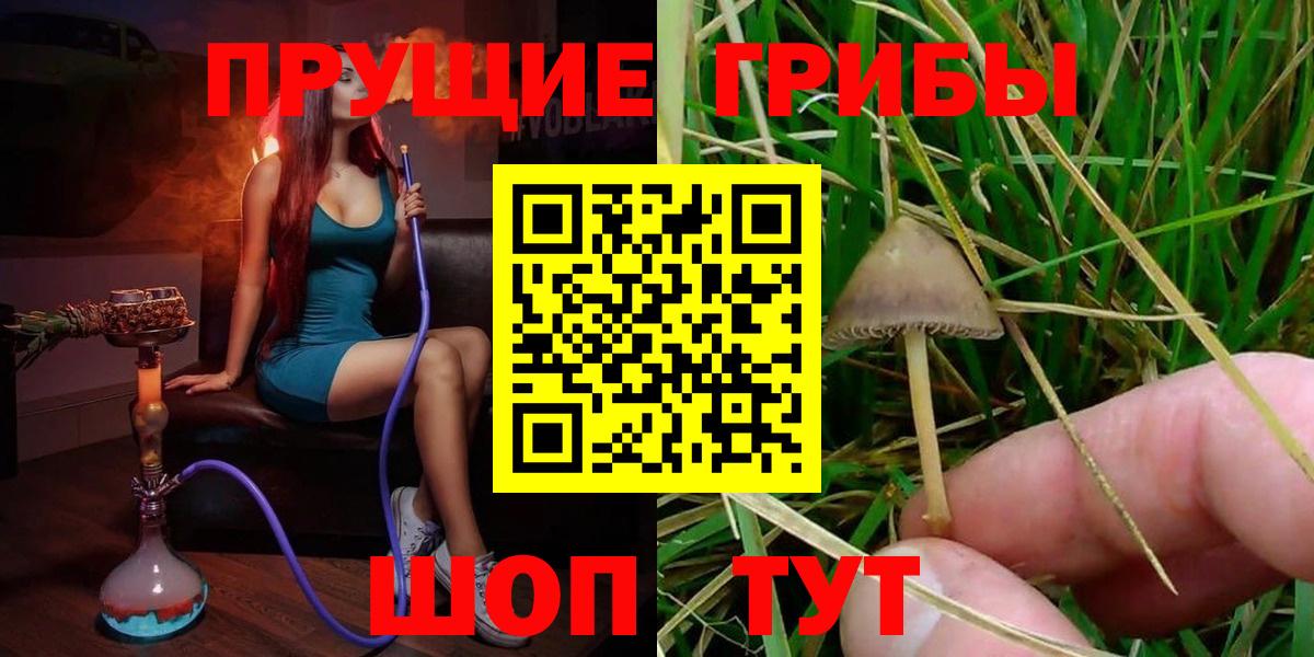 Ирбит  Галлюциногенные грибы Psilocybine cubensis  Вход с VPN  Псилоцибиновые грибы Cubensis 