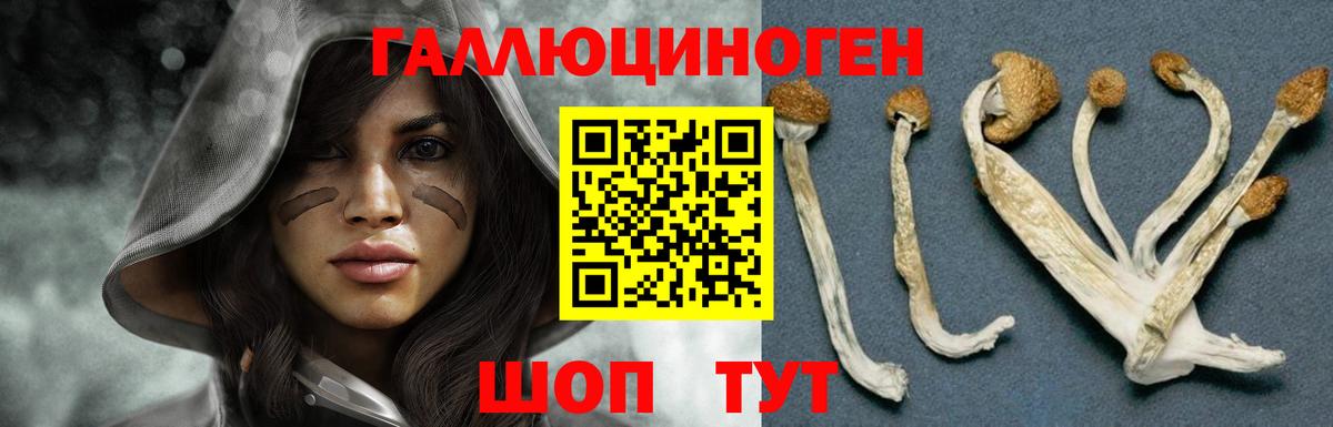 Галлюциногенные грибы Cubensis Ирбит