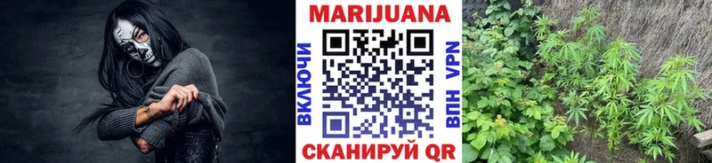 Бошки Шишки OG Kush  ОМГ ОМГ ONION  Ирбит 